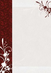 DYPLOM FINEZJA A4/25 170g  .