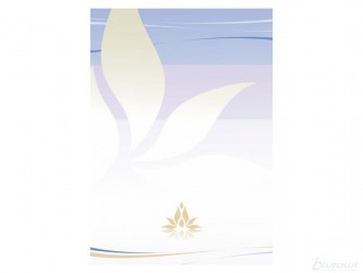 DYPLOM LOTOS A4/25 170g  . --