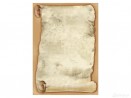 DYPLOM PAPIRUS A4/20 250g  .