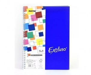 KOŁOZESZYT VIVID 16*24,1...