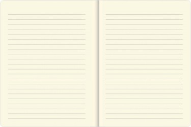 NOTATNIK MIDI PETER PAUPER ZMIERZCH MIASTA .